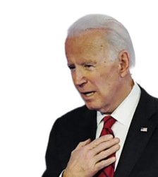 Joe Biden Meme Template