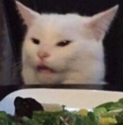 salad cat Meme Template