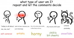 what type of user am I (made by cherub) Meme Template