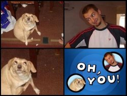 Oh, you Meme Template
