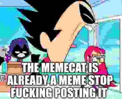 Memecat sucks Meme Template