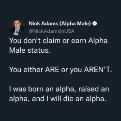 Nick Adams Alpha Male Meme Template