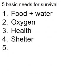 5 basic needs for survival Meme Template