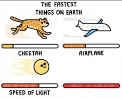 The fastest things on earth Meme Template