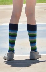 socks audit Meme Template