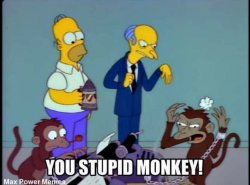 you stupid monkey Meme Template