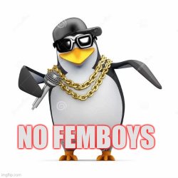 No Femboy Penguin Meme Template