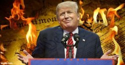 Donald Trump burning Constitution Meme Template