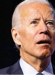 biden Meme Template