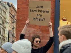 Insane Leftists Meme Template