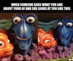 dory Meme Template