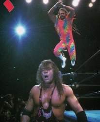 Macho Man Bret Hart Meme Template