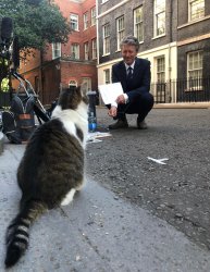 Larry talking to BBC Meme Template