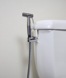Bidet Meme Template