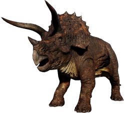 Triceratops 3 Meme Template