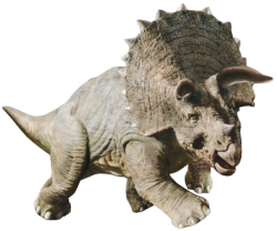 Triceratops 4 Meme Template