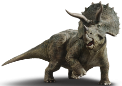 Triceratops 5 Meme Template