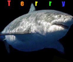 Terry the fat shark Meme Template