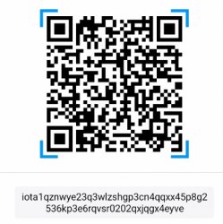 Drew iota QR code Meme Template