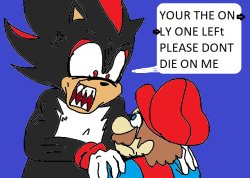 Shadow Screaming At Mario Meme Template