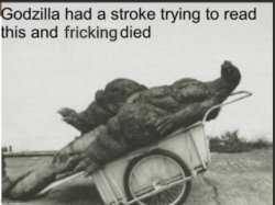 Godzilla had a stroke trying to read this and f!@king died Meme Template