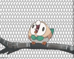 Rowlet screaming on a branch Meme Template