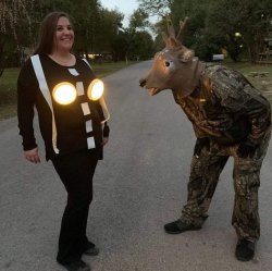 Deer And Headlights Meme Template