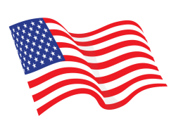 USA waving flag Meme Template