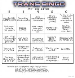 transfem bingo blank Meme Template