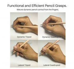 Functional and efficient pencil grasps Meme Template