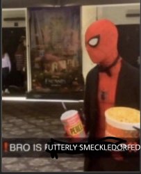 Bro is utterly smeckledorfed Meme Template