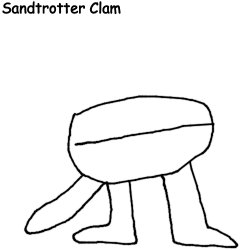 Sandtrotter Clam Meme Template