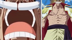 whitebeard the one piece is real Meme Template