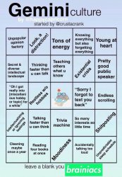 Gemini bingo Meme Template