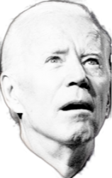 Biden Meme Template