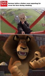 Alex the lion Meme Template