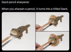 Lizard pencil sharpener Meme Template