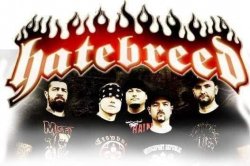 HATEBREED Die Hard Meme Template