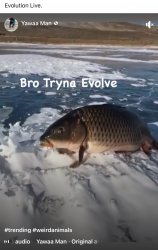 Bro tryna evolve Meme Template