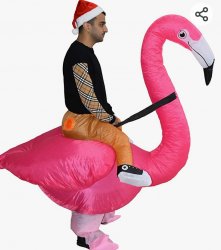 Pink Flamingo in the wild Meme Template