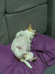 Quedeasiquede-asi Meme Template