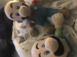 Mario and Luigi Meme Template