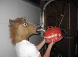 Horse drinking gasoline Meme Template