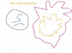 NOT THE PANCAKES Meme Template