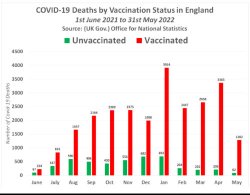 got vax? Meme Template
