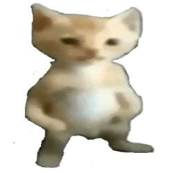 micheal the cat Meme Template