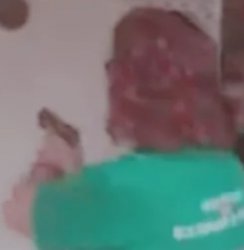 Zambelli noiada Meme Template