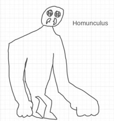 Homunculus Meme Template