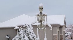 Snowy Skeleton Meme Template