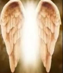 Phase 16 Meme Template